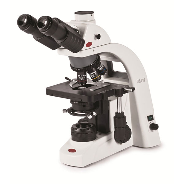 Precision Trinocular Microscope Image Precision Trinocular Microscope
